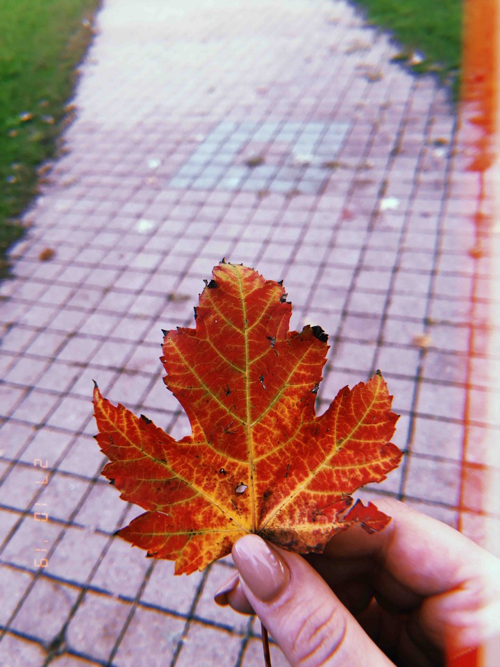 autumn