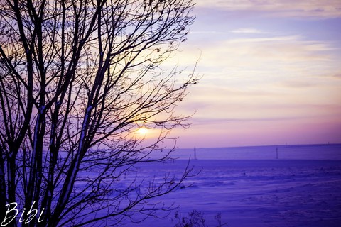 winter sunset