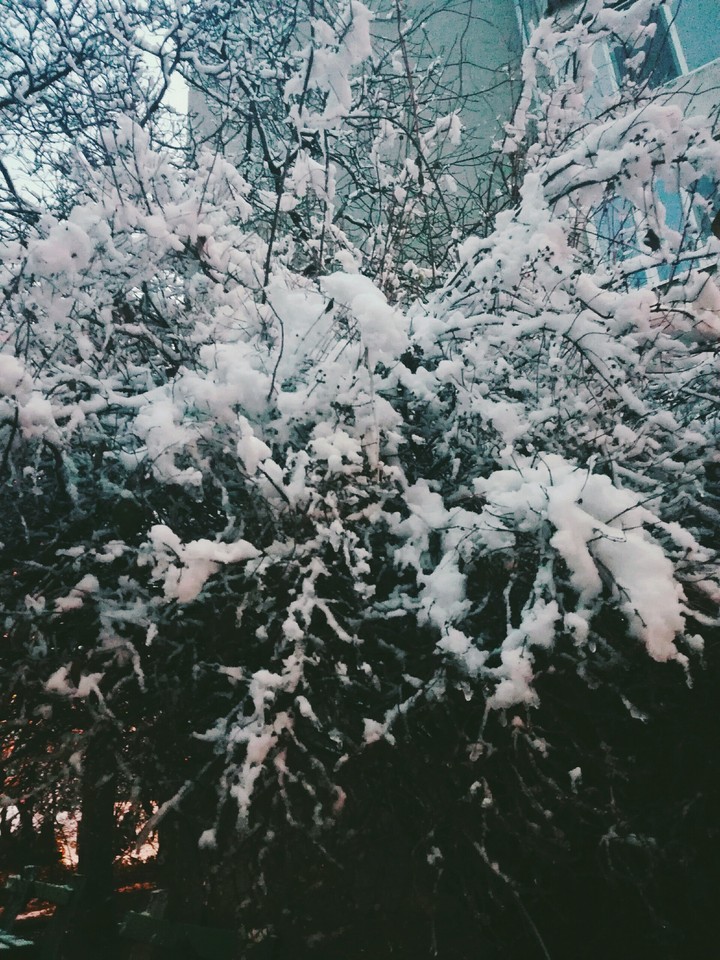 ☃⛄