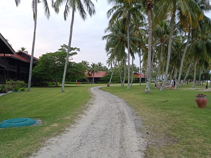 lawngkawii