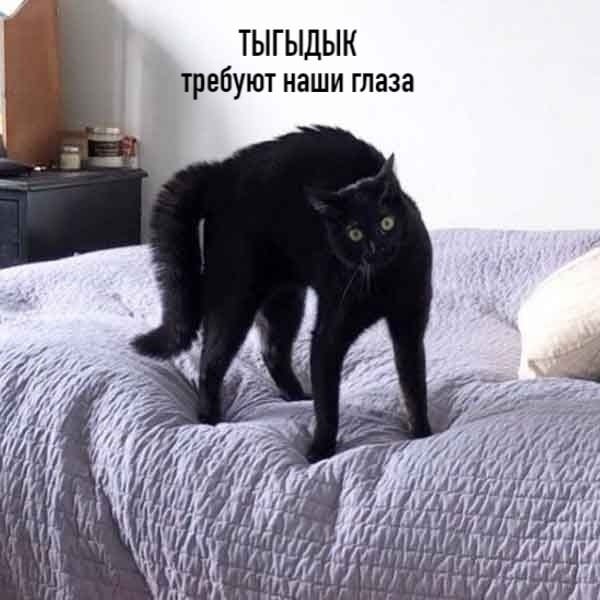 тыгыдык