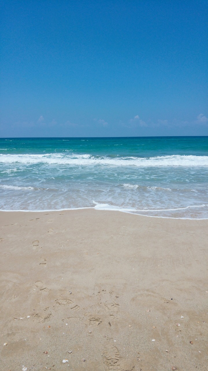 Sea