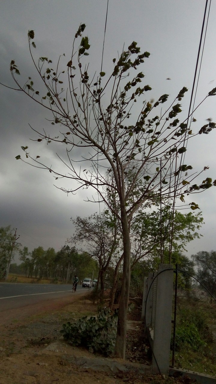 cloudy weather
