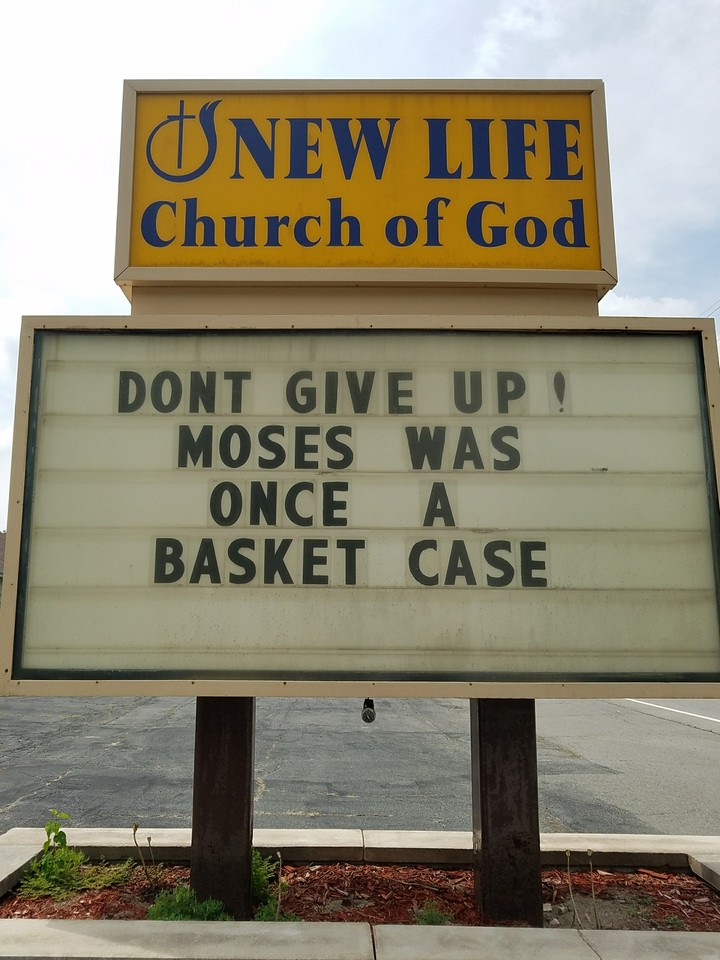 New Life
