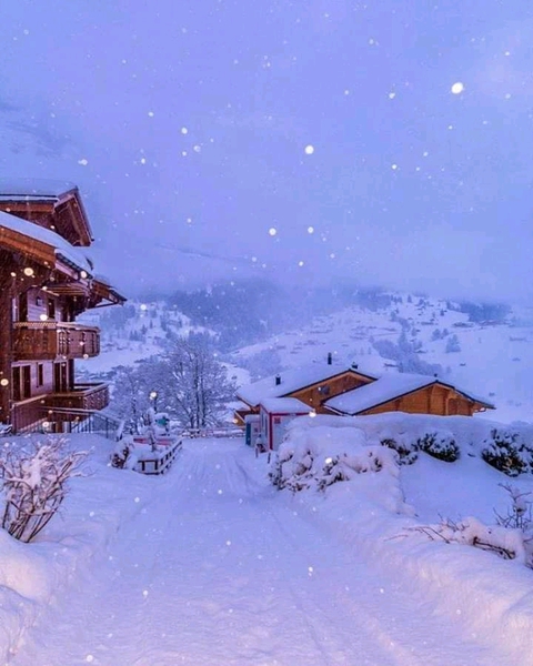 sfondi alps, frost