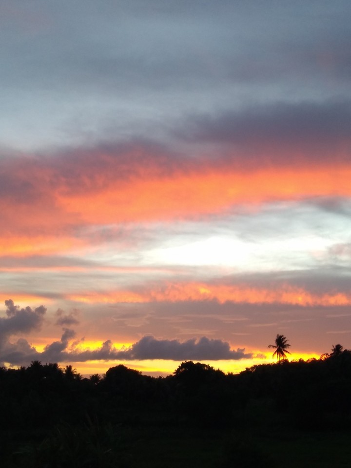 beleza da natureza