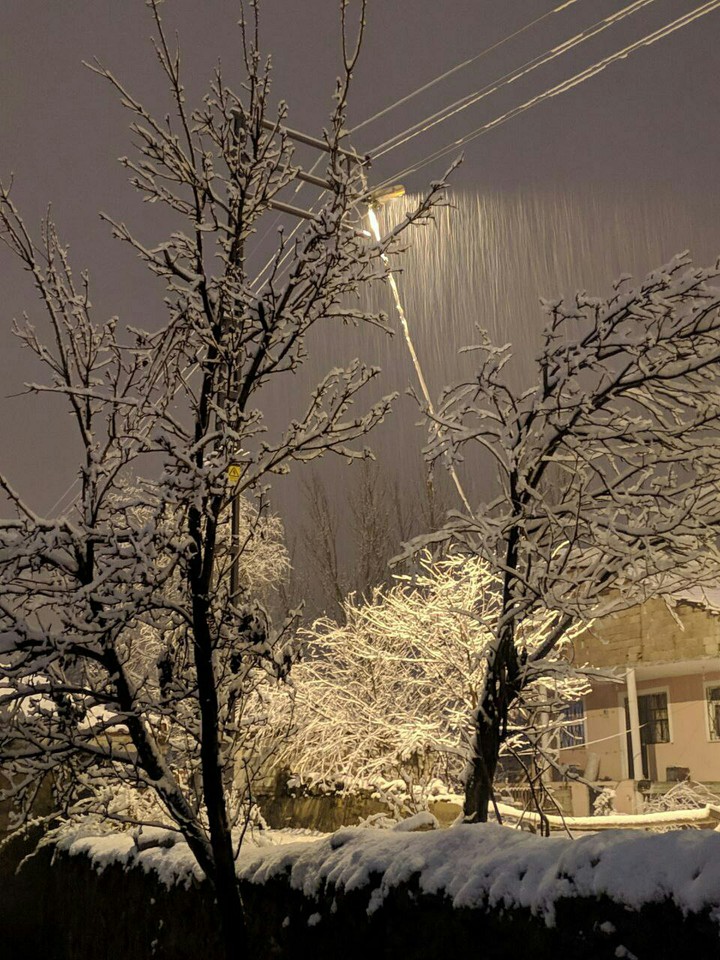 ❄