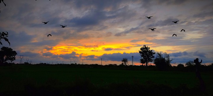 Sunset with birds