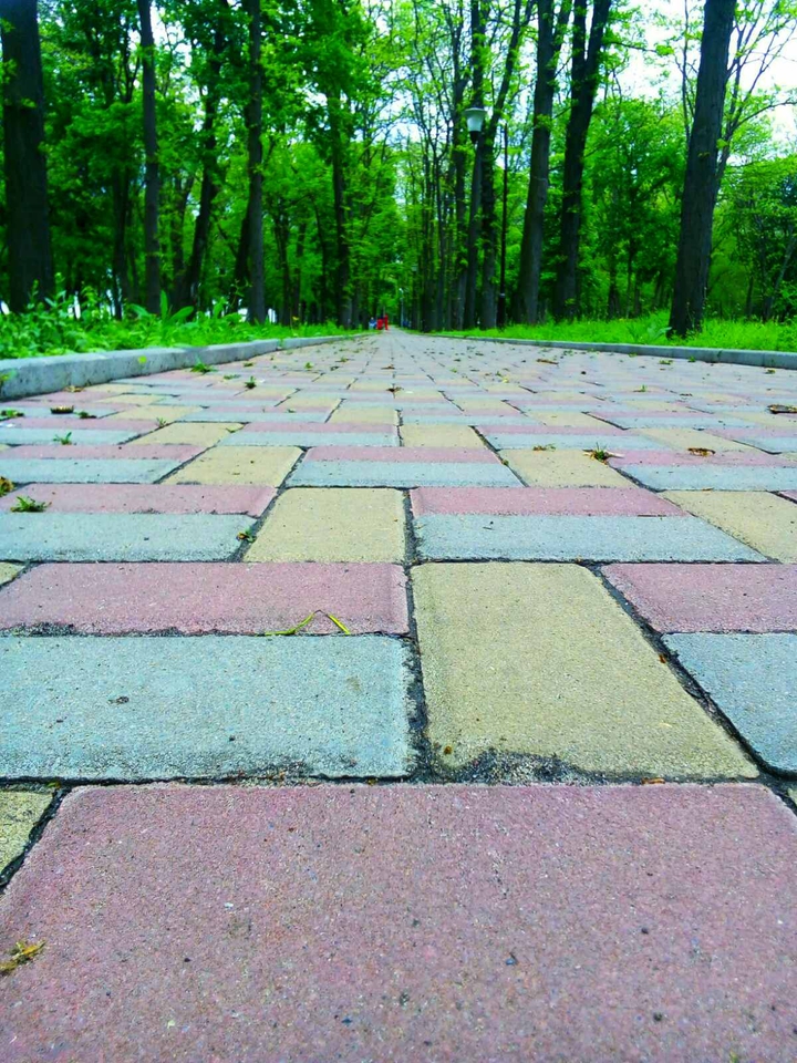 Road in the park