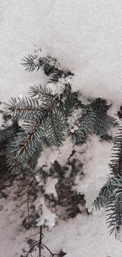 winter
