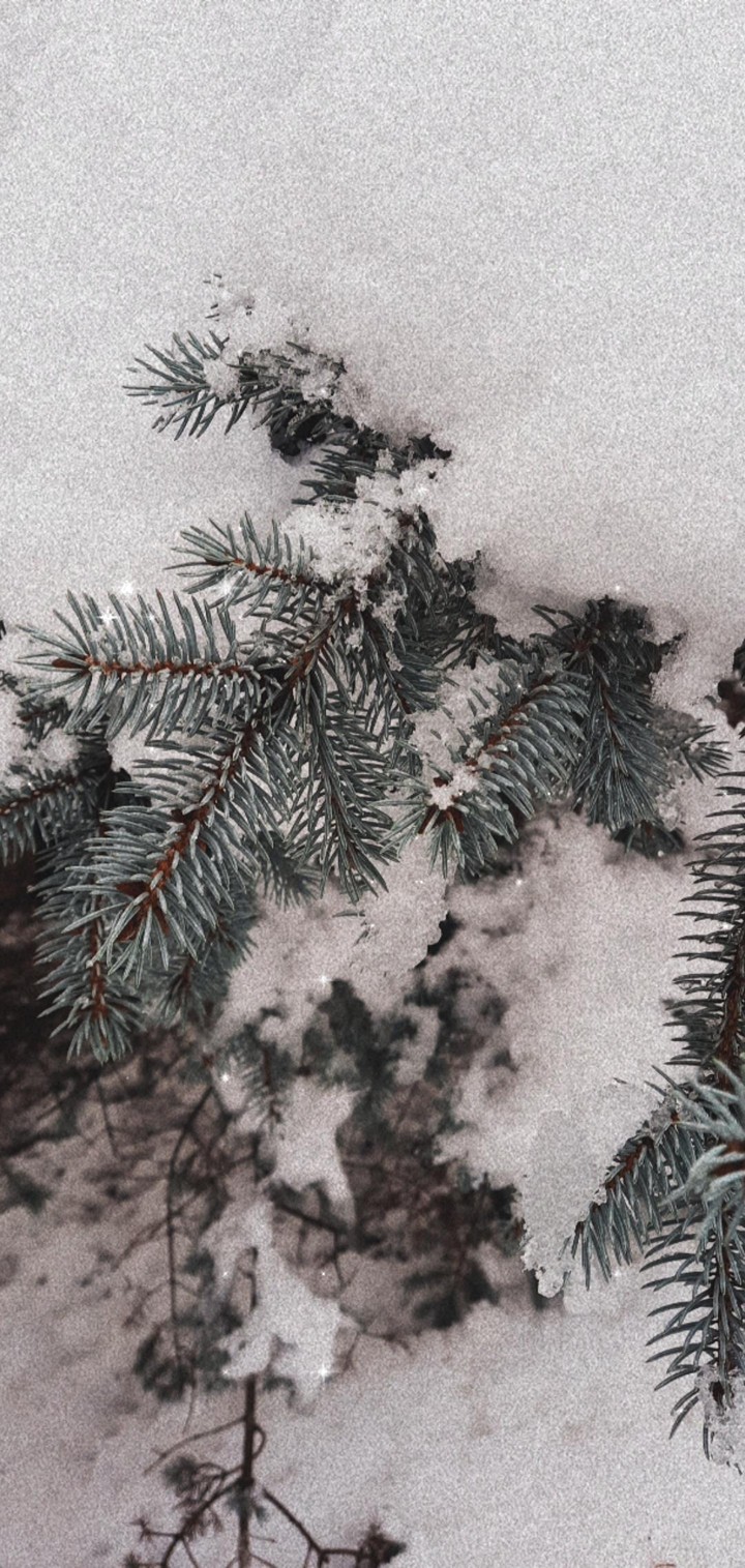 winter