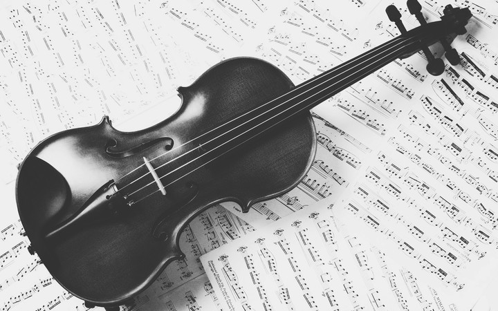 Violin