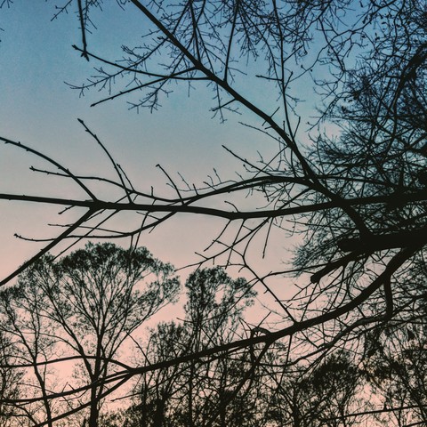 sunsets