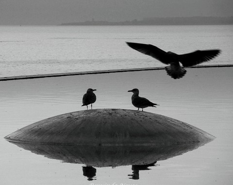 Horizonte