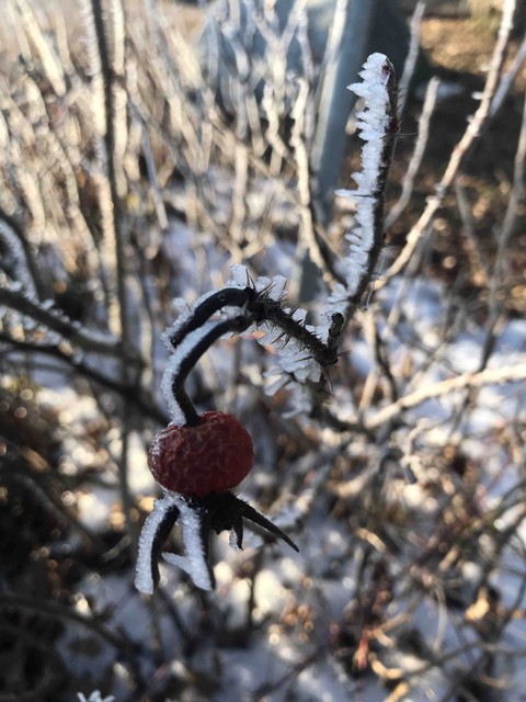 i Love Winter