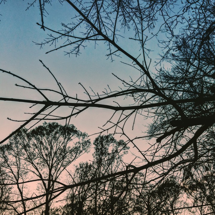 sunsets
