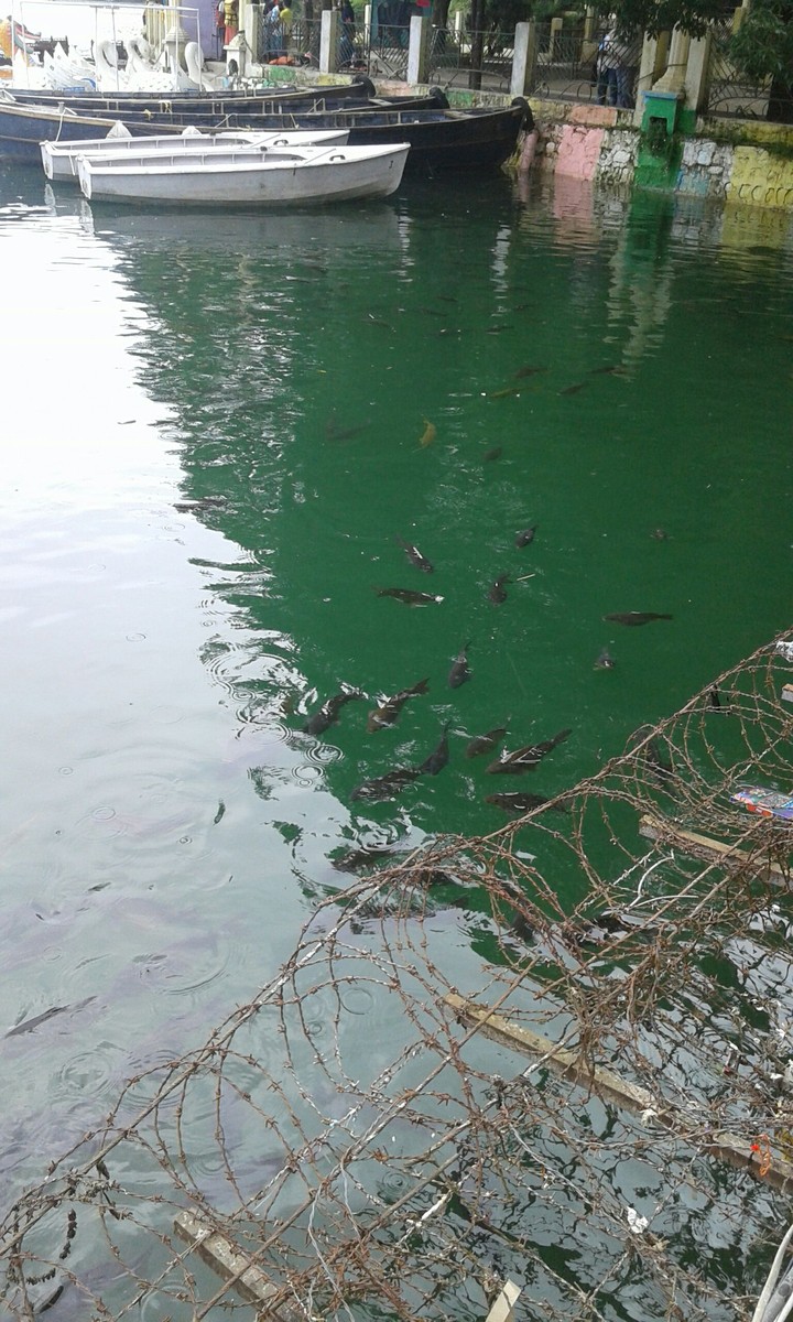 fishing