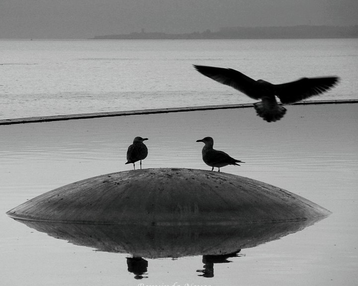 Horizonte