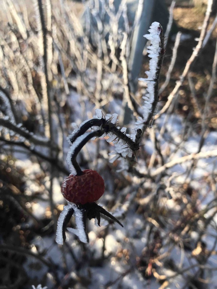 i Love Winter