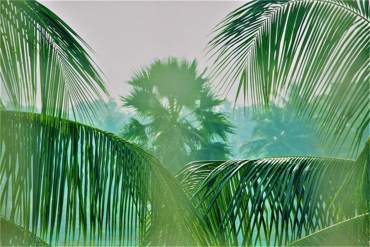 Cool weather green nature