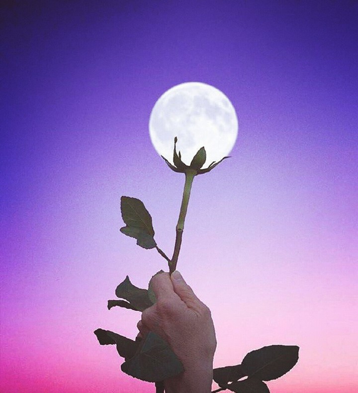 Moon