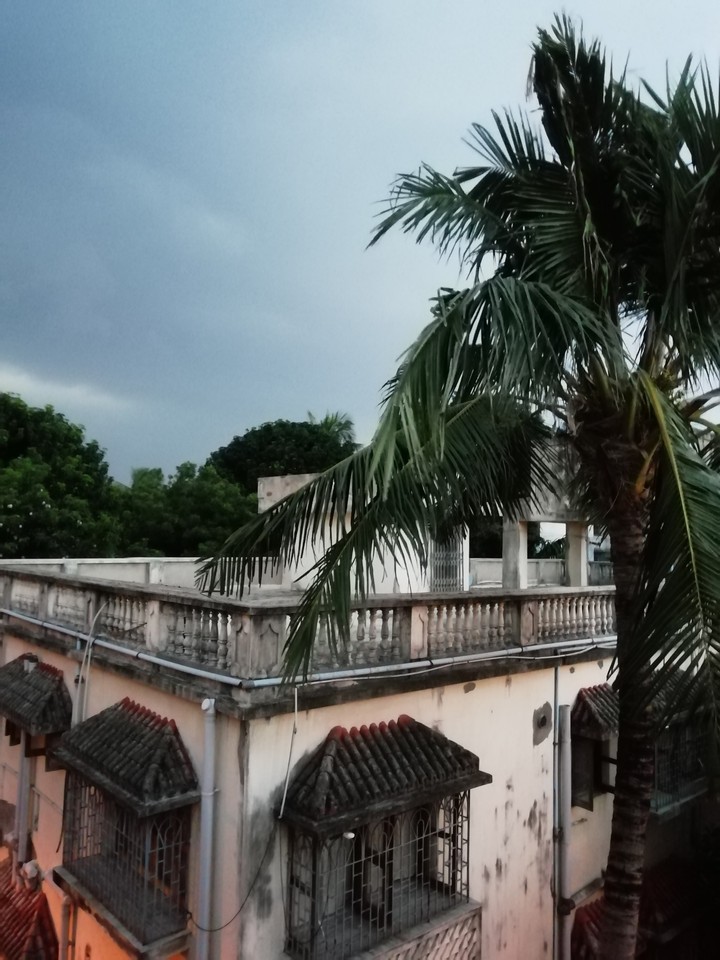 Monsoon