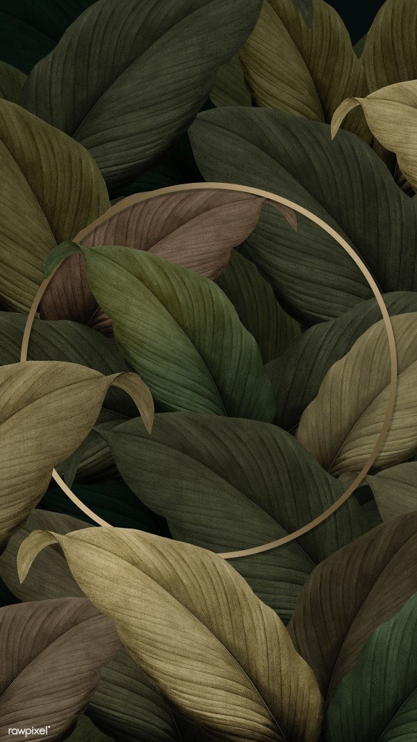 plants