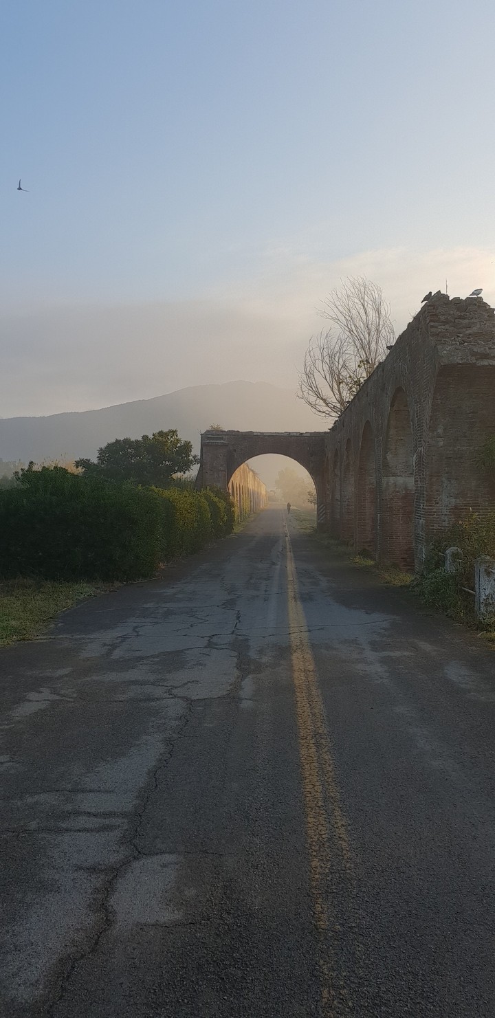 Alba