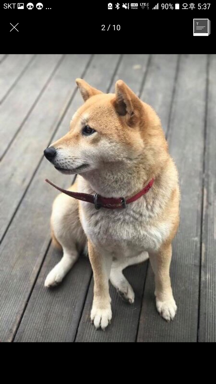 왼쪽 오른쪽