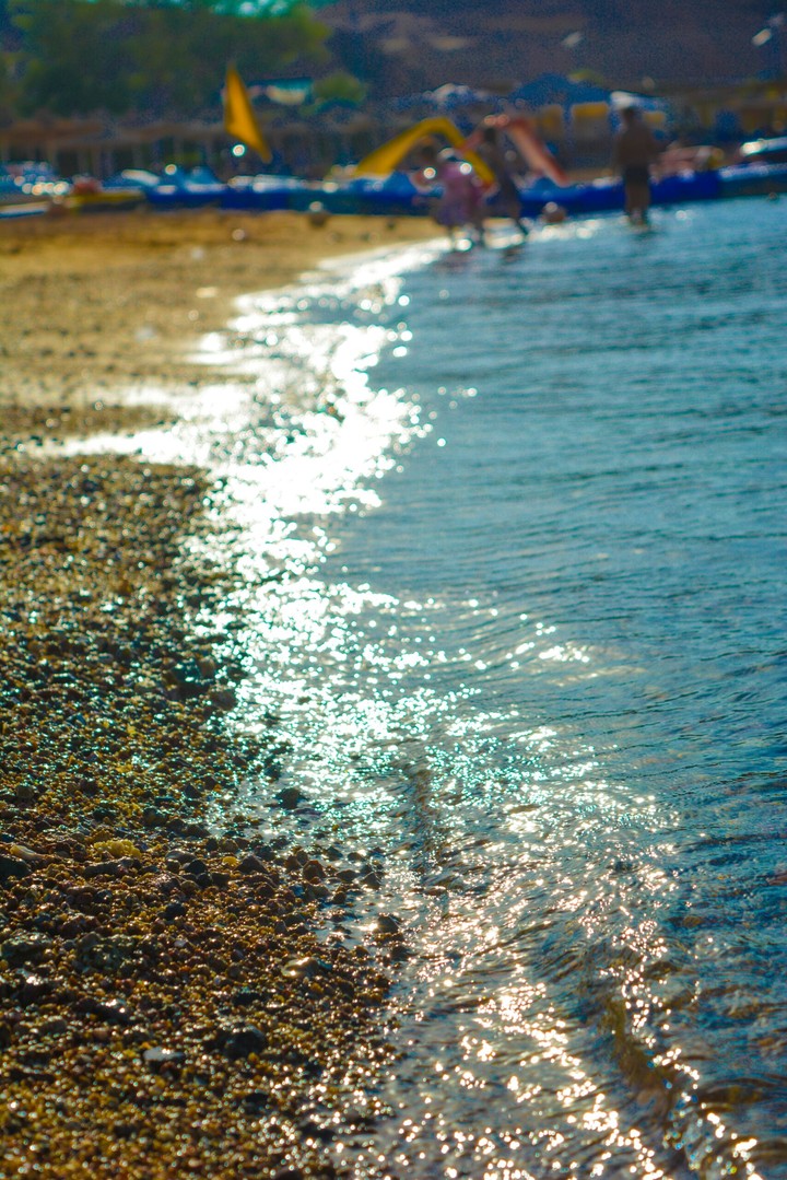 sea shore