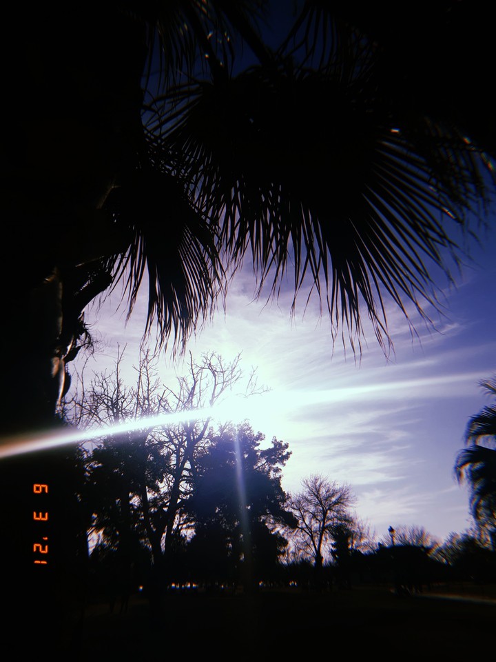 •Sunset
