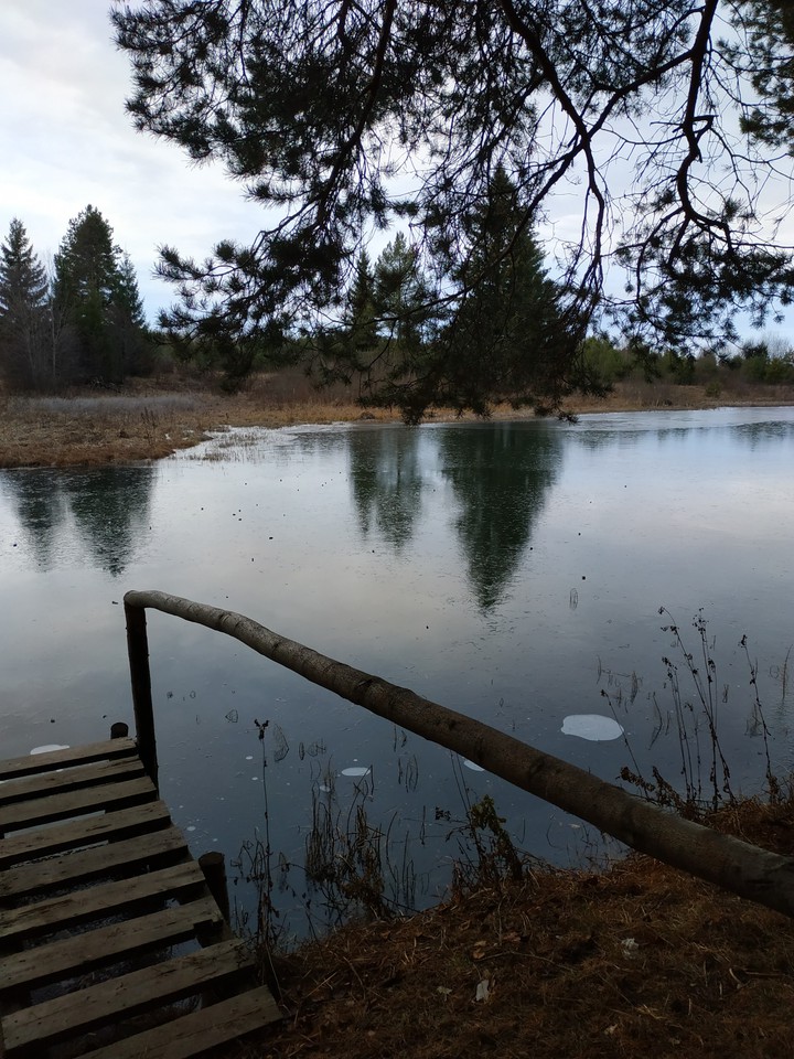 nature