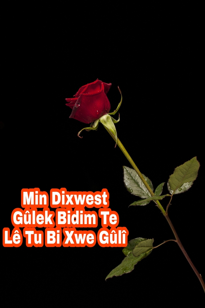 Evîn