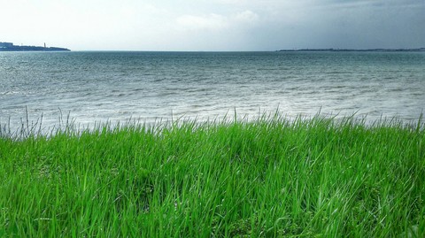 Море