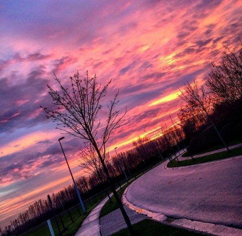 pİNk SunseT
