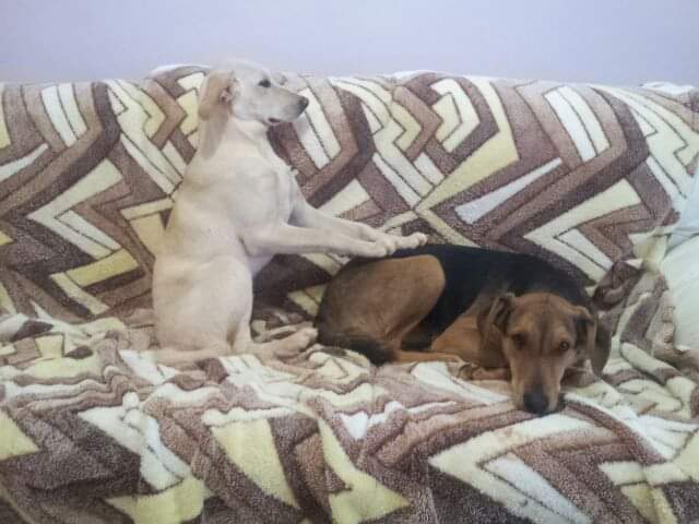 Lola and Linda