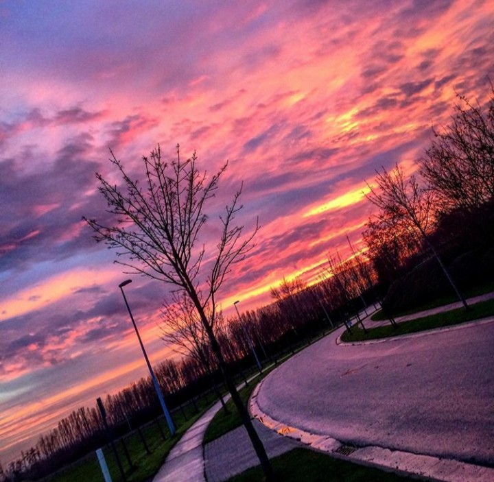 pİNk SunseT