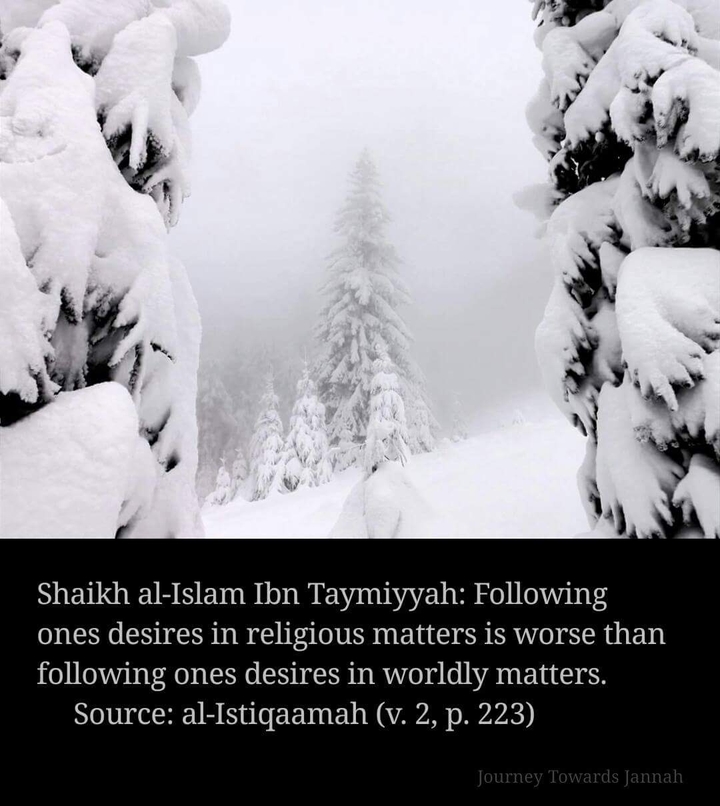 Journey Towards Jannah