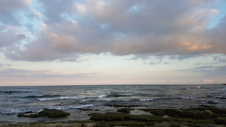 Sea