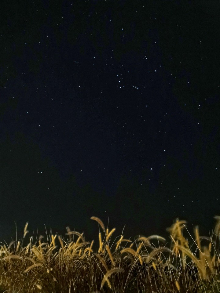Starry night