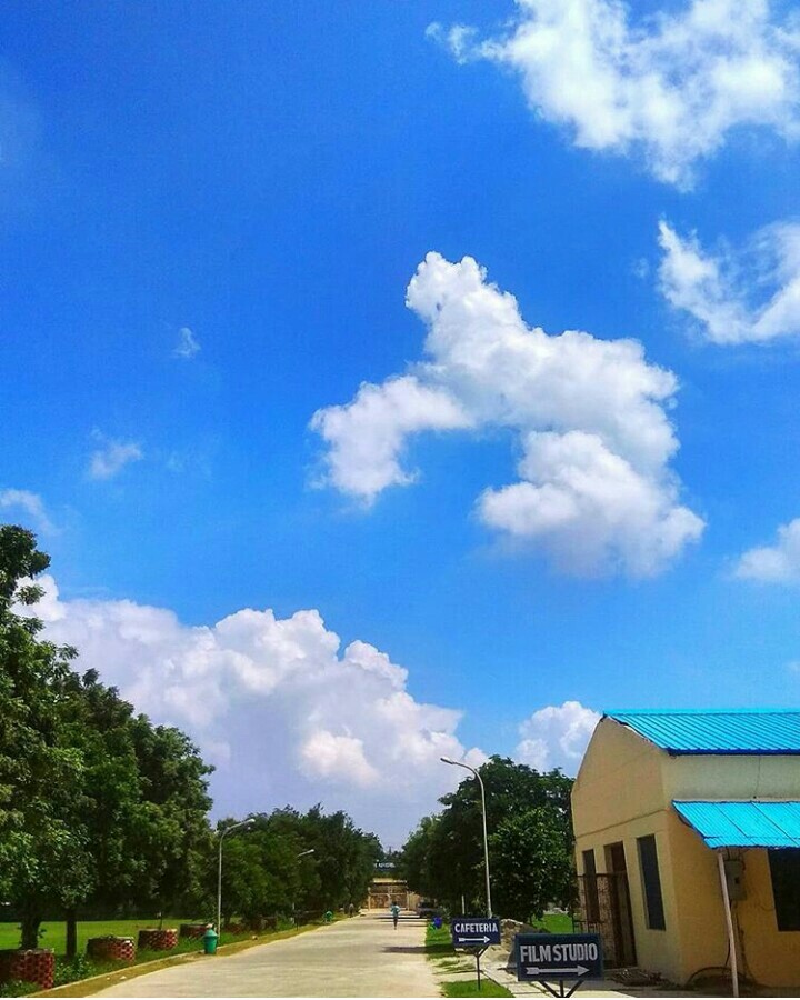 beautiful day