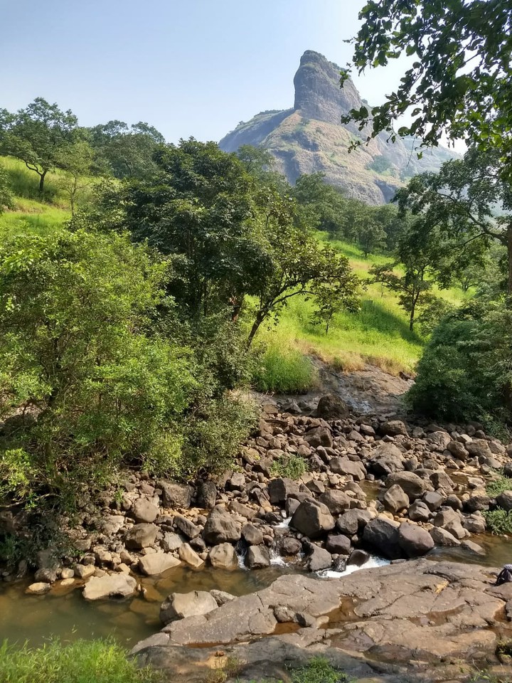 Wilderness has its own beauty.