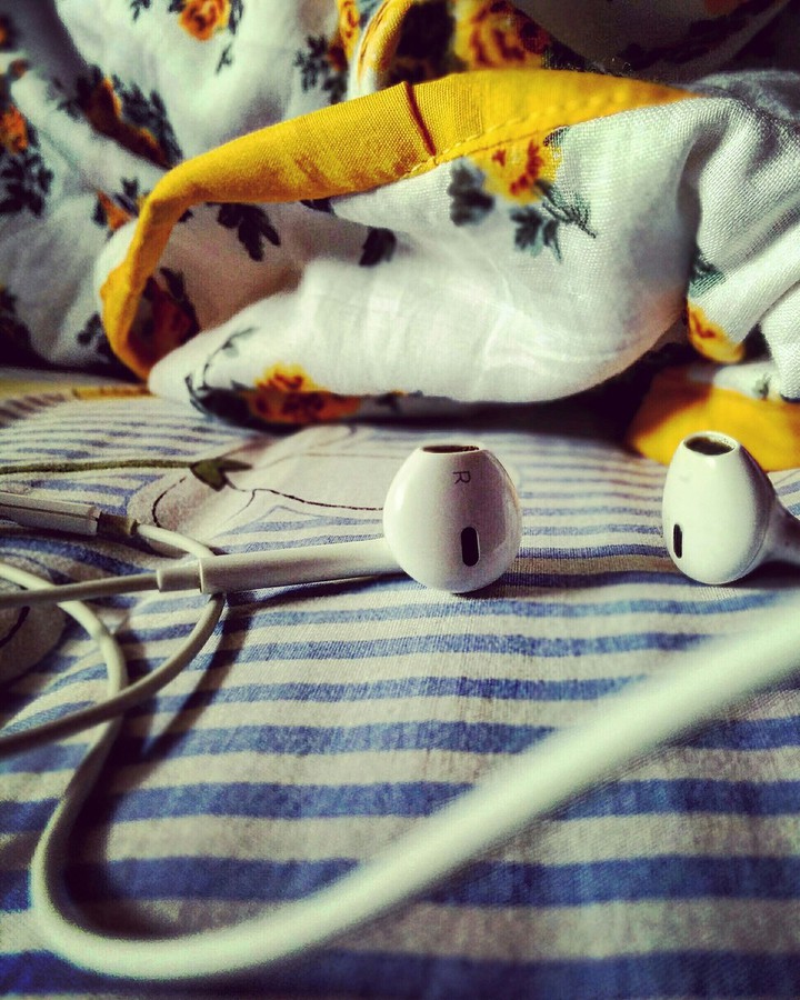 Earphones