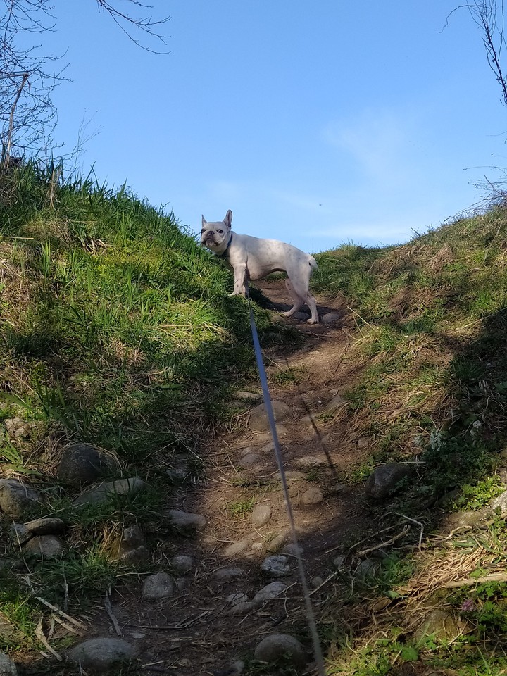 hill