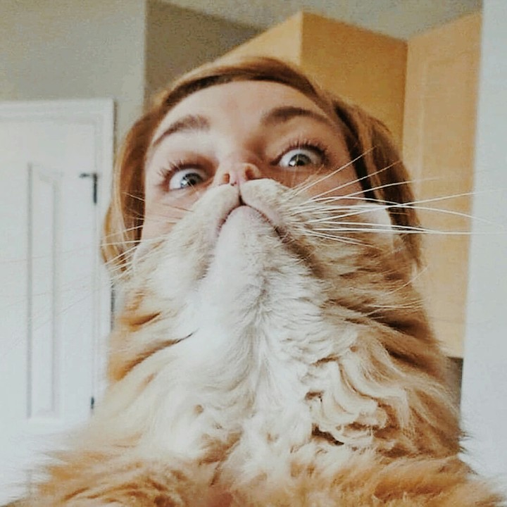 when you are a cat