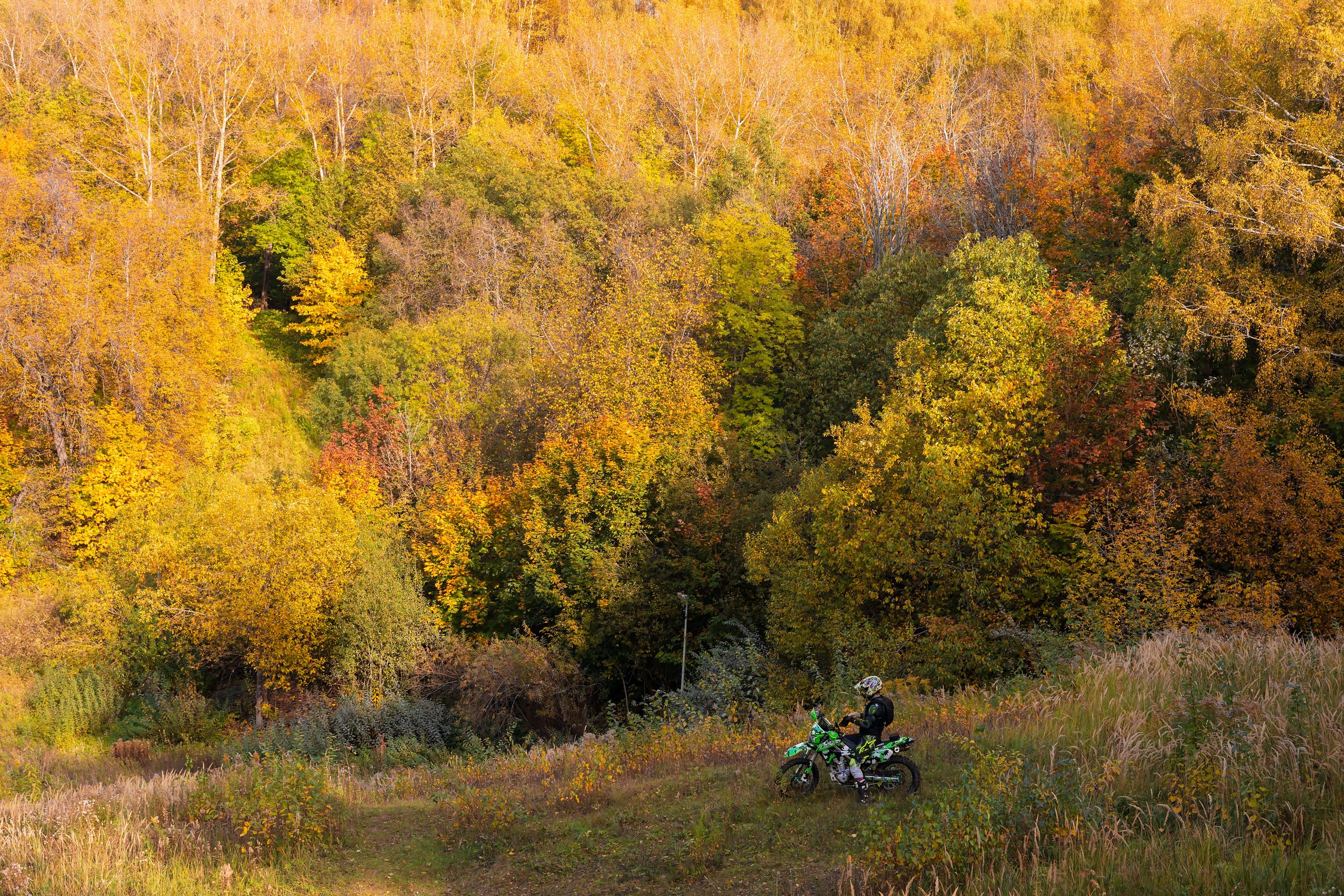 Autumn, forest duvar kağıtları