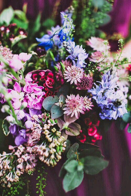 #Flower for Followers