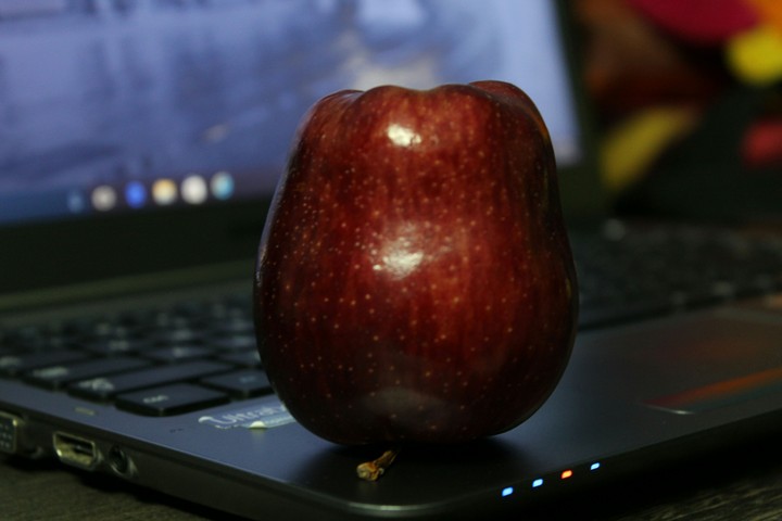 My Apple Book