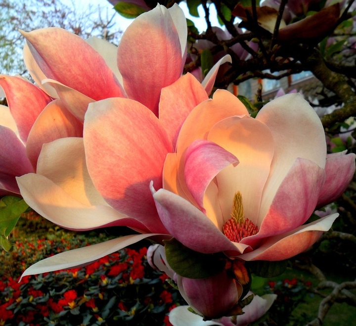 For you