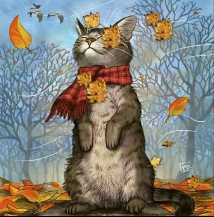 cat